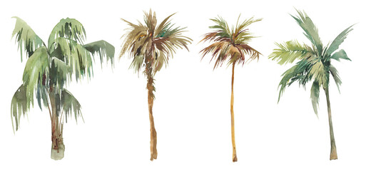 watercolor palm tree set. hand painted exotic green branches and palms isolated on white background.