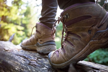 Wall Mural - a hiking boots