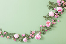 Pink Flowers And Green Leaves On Green Background