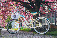 Bicycle In The Park, Retro Bicycle On The Sidewalk, Bicycle Rental, Bicycle Near A Tree..
