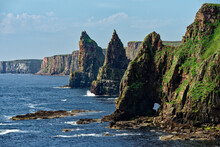 Duncansby Head Eroded Sea Stacks And North Sea Cliffs Near John O' Groats. Caithness Area Of The Highland Region Of Scotland