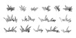 Hand drawn grass silhouette collection. Lawn bush of grass in sketch doodle style. Vector illustration
