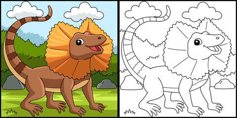 Frill Necked Lizard Coloring Page Illustration