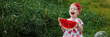 Banner little girl in a dress eats a watermelon at a picnic.