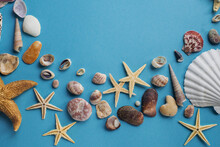 Flatlay Of Various Sea Shells And Starfish On Pastel Blue Background