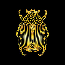 A Golden Beetle In A Linear Style. Linear Vector Illustration Of A Golden Beetle.