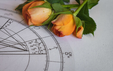 Wall Mural - Close up of printed astroogy chart with Moon, Pluto and Mars planets; two small orange roses in the background