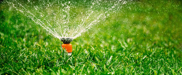 automatic garden lawn sprinkler. watering grass in yard. banner with copy space