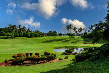 Wall Mural - Golfing In Paradise