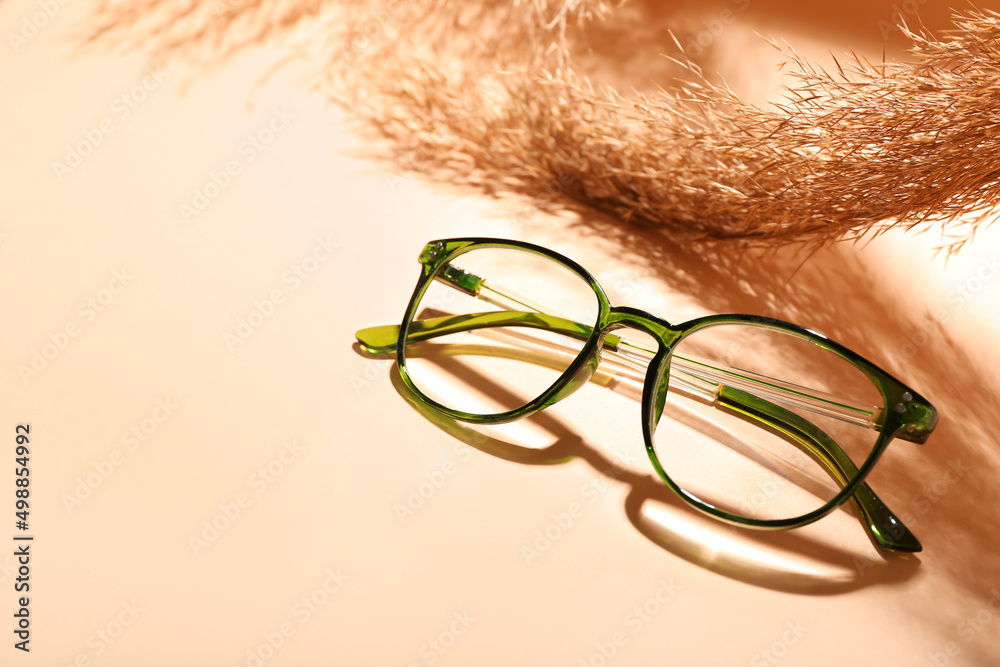 Eyeglasses and pampas grass on color background