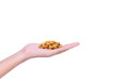 handful of almonds
