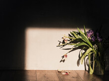 A Bouquet Of Faded Tulips Stands In A Vase On A Wall Background. Faded Flowers.