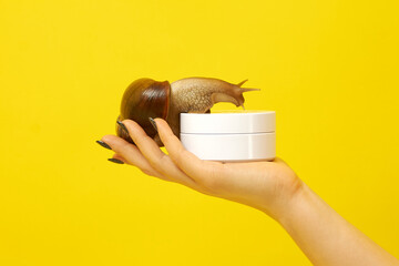 The girl on her hand holds a white jar with a snail on a yellow background