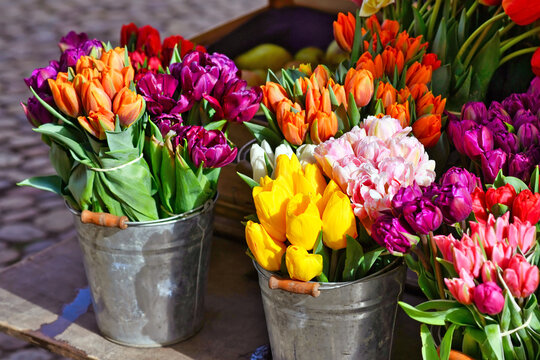 colorful spring tulip flowers in baskets at market sale booth