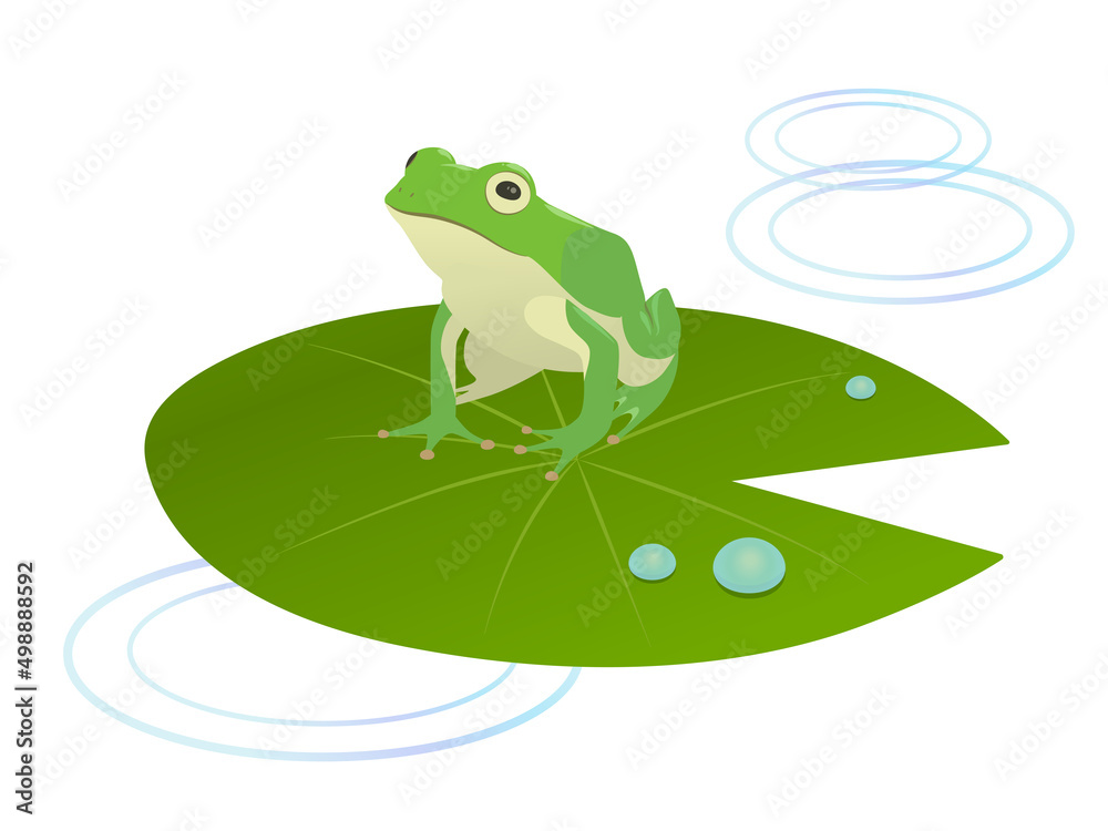 蓮の葉にカエルと鯉♪♪ frog-green-frog-lotus-leaf-