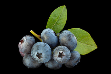 Wall Mural - Blueberry with leaf closeup