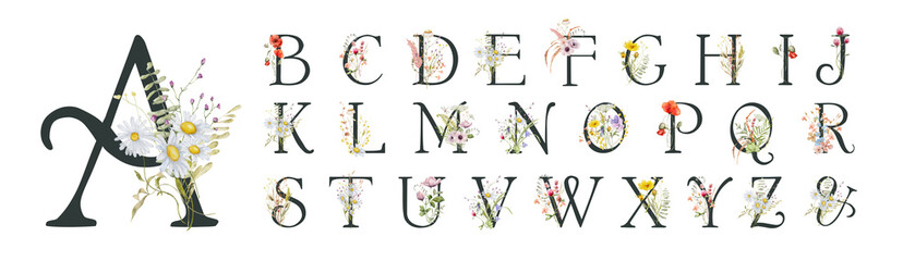 watercolor floral english alphabet set with wild flowers from a to z