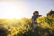 © Lyndon Stratford/peopleimages.com - Hes come a long way from the start of season. Rearview shot of a young man holding a crate full of freshly picked produce on a farm.