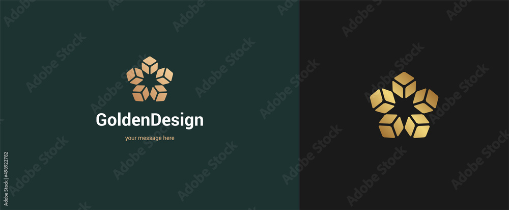 Vector abstract star logo emblem design elegant modern minimal style ...