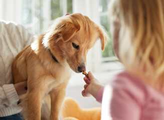 Canvas Print - Let me do the sniff test first. Shot of a little girl giving her puppy and doggy treat.