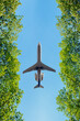 A plane flying over a forest treetops, Transportation concept,