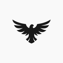 Eagle Logo Or Falcon Logo