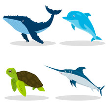 A Set Of Illustrations On The Marine Theme. Turtle, Swordfish, Dolphin And Whale. No Background, Isolated.
