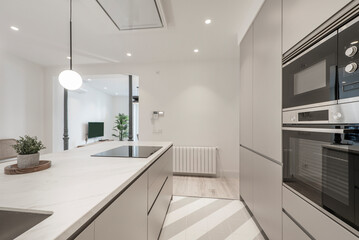 Kitchen island with built-in stainless steel sink, black ceramic hob and extractor hood, white aluminum radiator and lamps with spherical lampshades and wall with columns of furniture and appliances