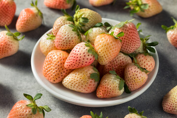 Poster - Organic Raw Pink Pineberries