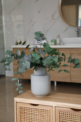 Wall Mural - Beautiful eucalyptus branches in vase on wooden cabinet indoors. Interior design