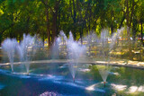 Fototapeta Tęcza - water fountains in forest park