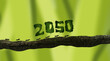 fourmis qui portent des feuilles avec les chiffres 2050 - rendu 3D