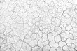 Cracked soil texture , drought season seamless patterns top view  background	
