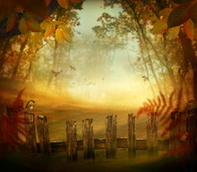 Autumn Design - Forest With Wood Fence