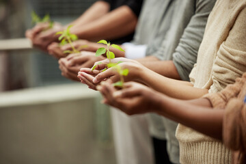 Poster - What you nurture will grow. Closeup shot of a group of unrecognisable people holding plants growing in soil.