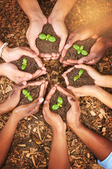 Poster - The team that works together, grows together. Cropped shot of a group of people holding plants growing out of soil.