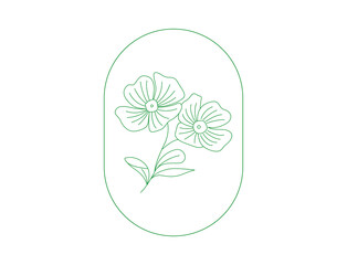 Wall Mural - line art of evening primrose flower illustration. Vector flower isolated on white. Oenothera speciosa is a species of evening primrose.