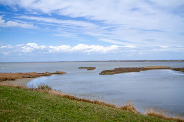 Wall Mural - valleys of comacchio marshes and rivers of the po delta regional park