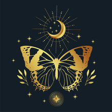 Mystic Gold Butterfly Isolated Vector Illustration. Magic Moon, Occult, Print, Poster.