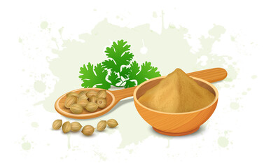 Wall Mural - Coriander Seeds and coriander spices powder with green coriander leaves vector illustration