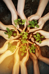 Aufkleber - Lend a hand to save our greenery. Cropped shot of a group of people holding plants growing out of soil.