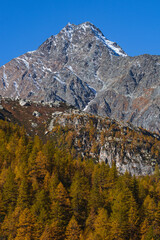 Wall Mural - The mountains of the Lepontine Alps and the woods during a beautiful Autumn day, near the village of San Domenico di Varzo, Piedmont, Italy - October 2021.