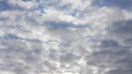 Wall Mural - beautiful early morning sunny sunrise blue sky with fluffy white clouds flying overhead in clear blu