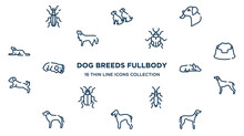 Concept Of 16 Dog Breeds Fullbody Outline Icons Such As Null, Dog Licking, Null, Pet Dish, Sad Dog, Greyhound, Null, Bedlington Terrier, Saluki Vector Illustration.