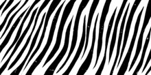 Simple Black And White Zebra Texture Abstract Background