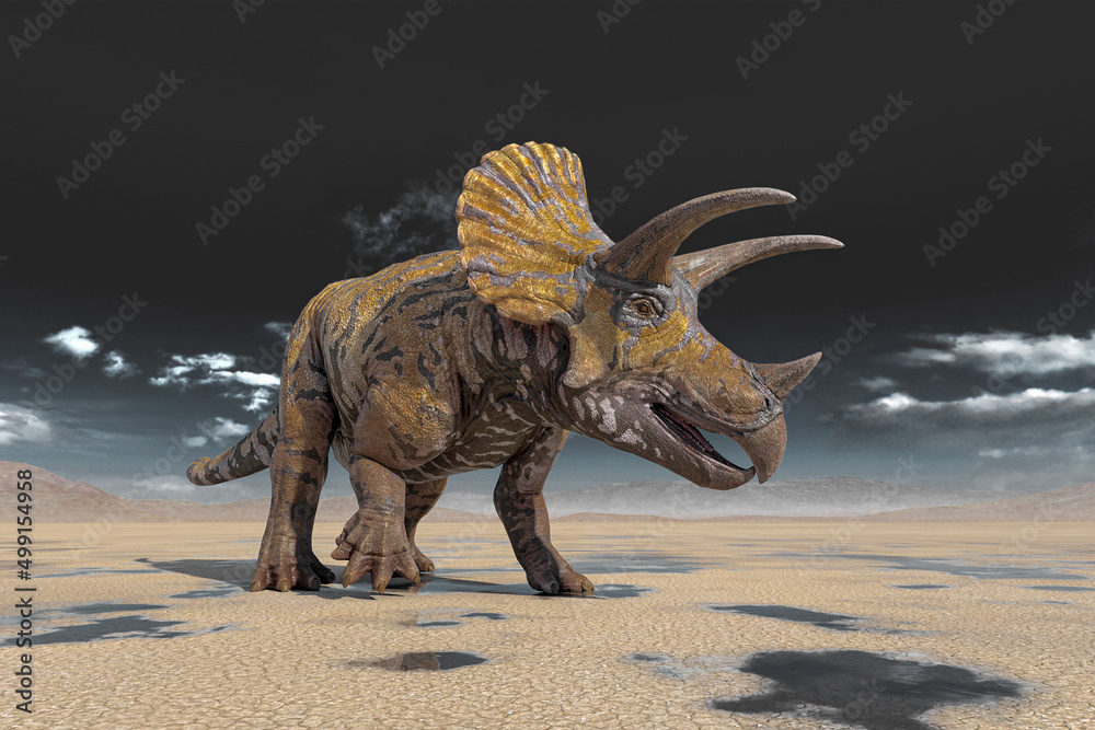 triceratops on the desert walking after rain side view