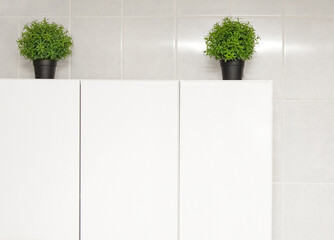 Bright kitchen. Interior. Light kitchen cabinets attached to a tiled wall. Kitchen in bright colors. New furniture in the kitchen. Green plants on cabinets. Metal door handles on cabinets.