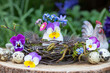 Osterdekoration mit Ei und Frühlingsblumen im Birkenreisig-Kranz