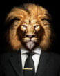 Man in the form of a Lion with Suit and tie , The lion person , animal face isolated black