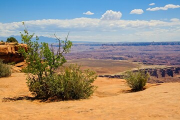 Canyonlands National Park in southeastern Utah, a dramatic desert landscape carved by the Colorado River. 